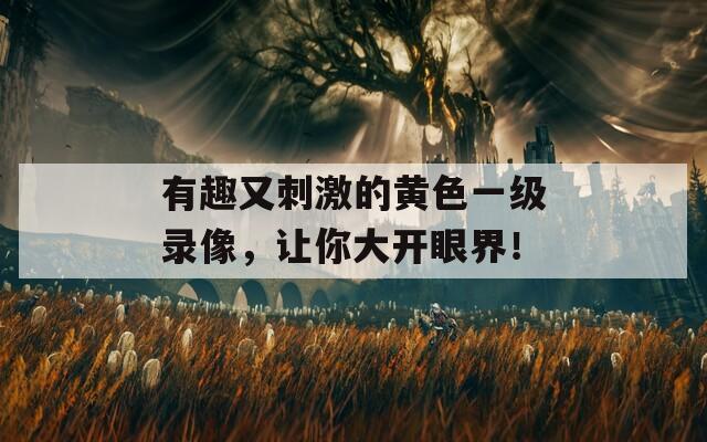 有趣又刺激的黄色一级录像，让你大开眼界！