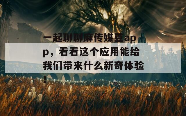 一起聊聊麻传媒豆app，看看这个应用能给我们带来什么新奇体验！