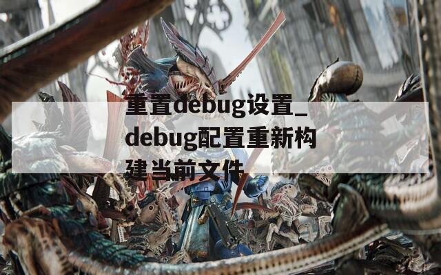 重置debug设置_debug配置重新构建当前文件