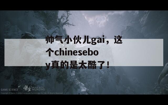 帅气小伙儿gai，这个chineseboy真的是太酷了！