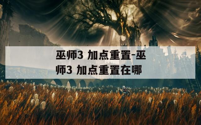 巫师3 加点重置-巫师3 加点重置在哪