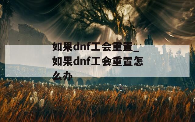 如果dnf工会重置_如果dnf工会重置怎么办