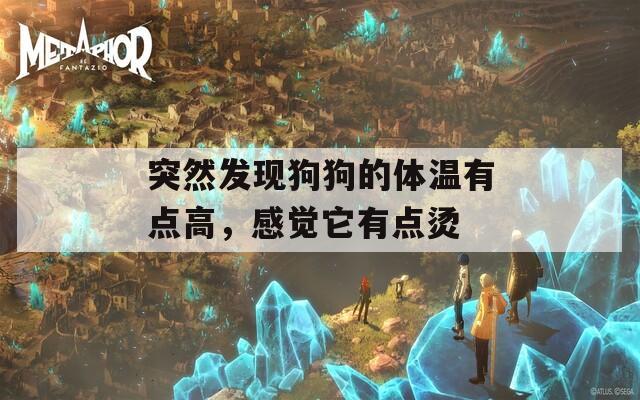 突然发现狗狗的体温有点高，感觉它有点烫