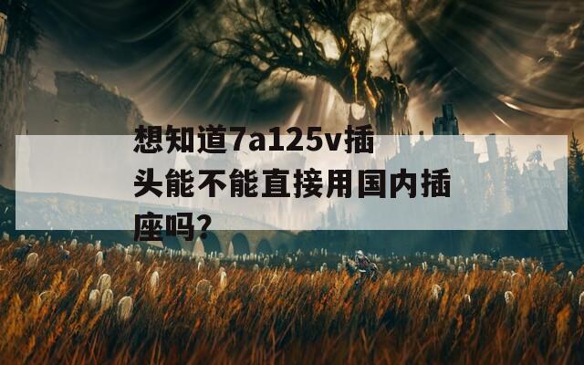 想知道7a125v插头能不能直接用国内插座吗？
