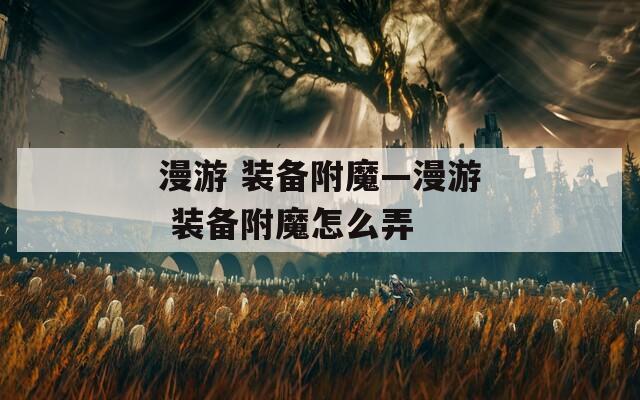 漫游 装备附魔—漫游 装备附魔怎么弄